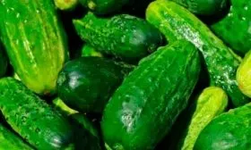 Сбор урожая и хранение