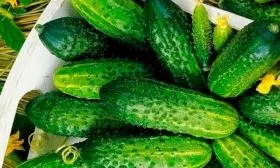 Сбор урожая и хранение