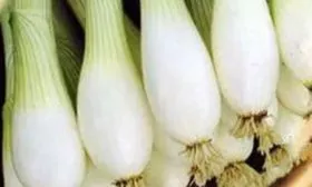 Тонкости-агротехники