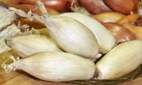 Тонкости-агротехники