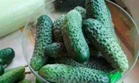 Вкус и предназначение