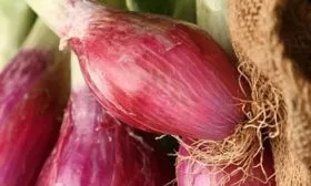 Вкусовые-характеристики-и-назначение