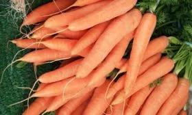 Вкусовые-качества-и-применение