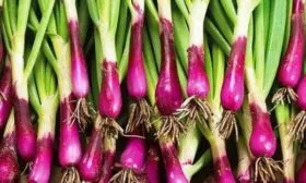 Внешние-данные