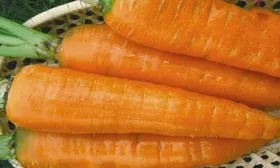 Внешние-и-вкусовые-характеристики,-предназначение