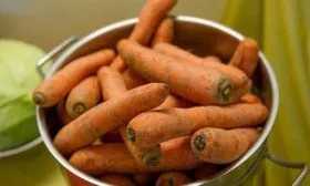 Внешний-вид-растения-и-корнеплодов,-вкус