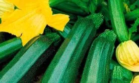 Урожайность