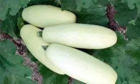 Назначение