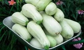 Сбор урожая