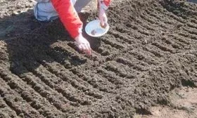 Подготовка грядок