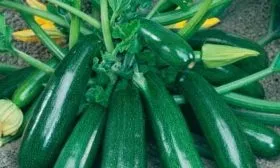 Урожайность