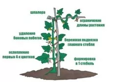 5c645a6d7a9c9ef03ef31438dfbf7a8e