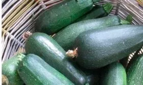 Сбор кабачков