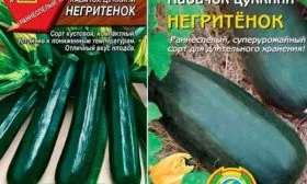 Негритенок