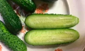 Назначение и вкусовые качества плодов