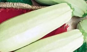 Созревание и урожайность