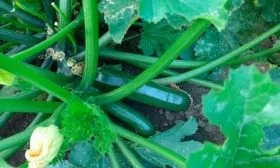 Характеристики