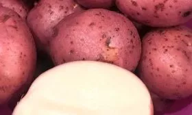 Вкус и назначение