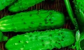 Характеристики зеленцов