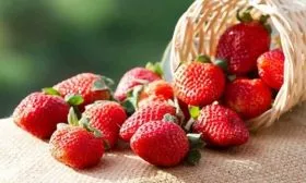 Применение ягод