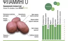 Описание сорта
