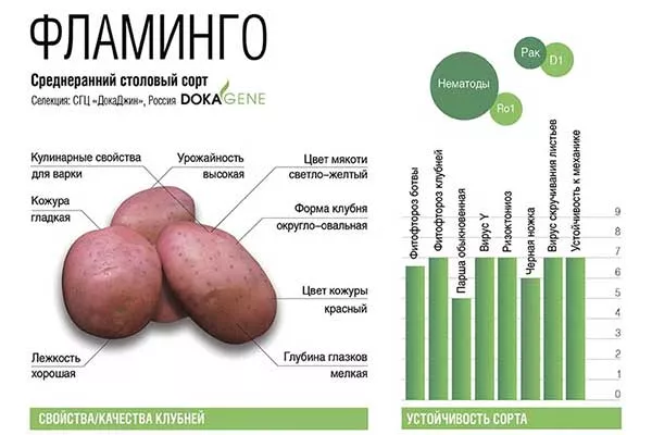 Описание сорта