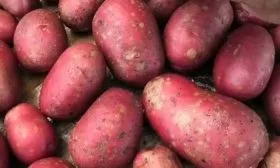 Характеристика