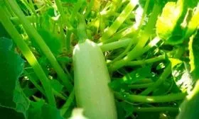 Характеристики