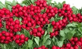 Урожайность