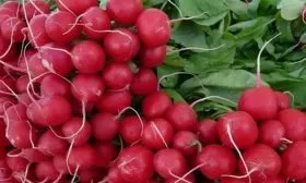 Сбор и хранение