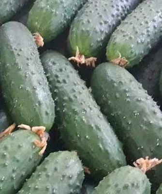 сбор урожая