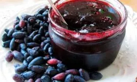 Использование в лекарственных целях и кулинарии