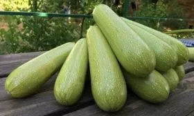 Кабачок Марселла