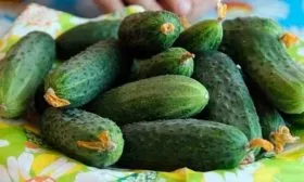 Урожайность