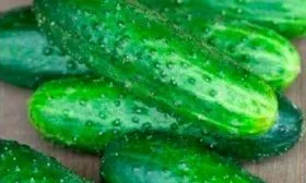 огурцы Емеля F1