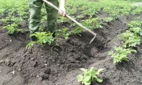 Окучивание