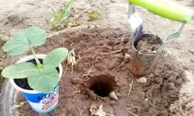 Особенности посадки 1