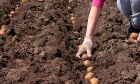 Особенности посадки 1