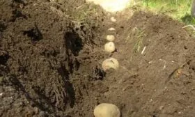 Особенности посадки