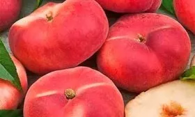 Плоды и их вкусовые характеристики