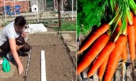 Подготовка к посадке