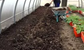 Подготовка участка