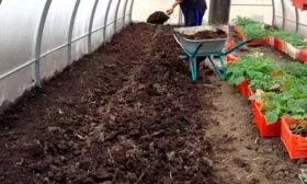 Подготовка участка