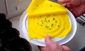 Проращивание семян для рассады