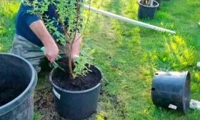 Процесс посадки