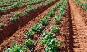 Рекомендации по уходу