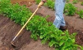 Рекомендации по уходу