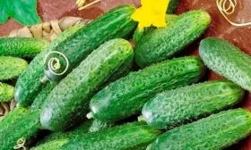 Сбор и хранение урожая