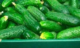 Сбор урожая и хранение