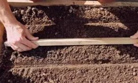 рядки для редиса